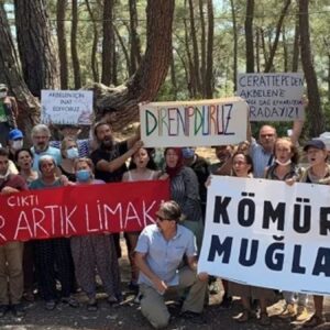 zeytinde skandal karar pFcTRXSw